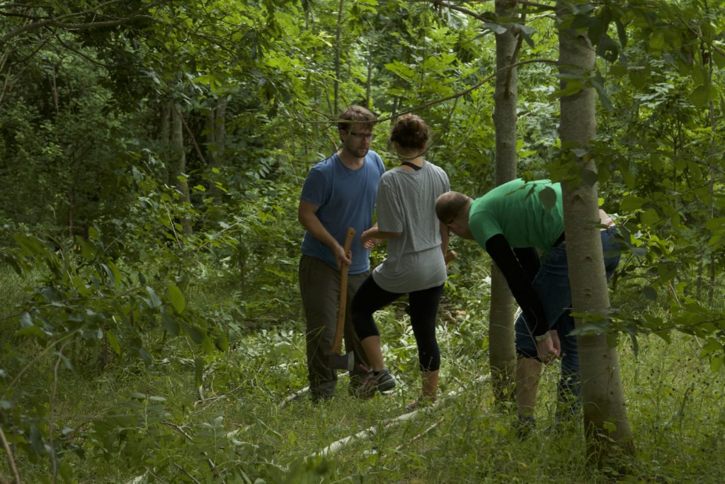 Pausing while cutting down a tree in the woods