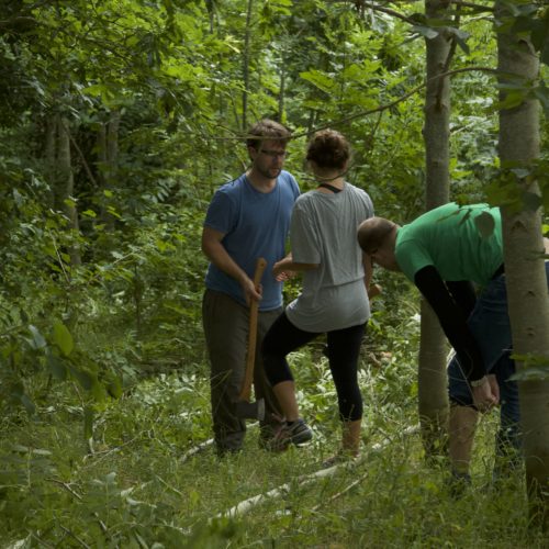 Pausing while cutting down a tree in the woods